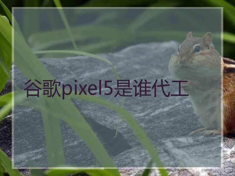 谷歌pixel5是谁代工