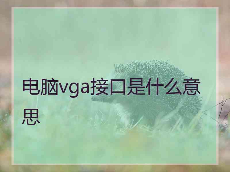 电脑vga接口是什么意思