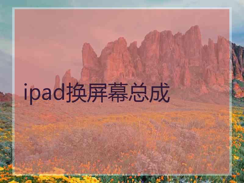 ipad换屏幕总成