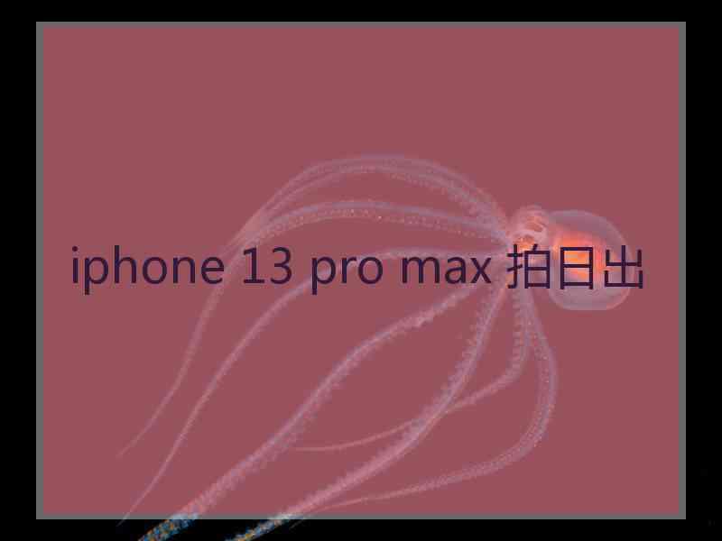 iphone 13 pro max 拍日出