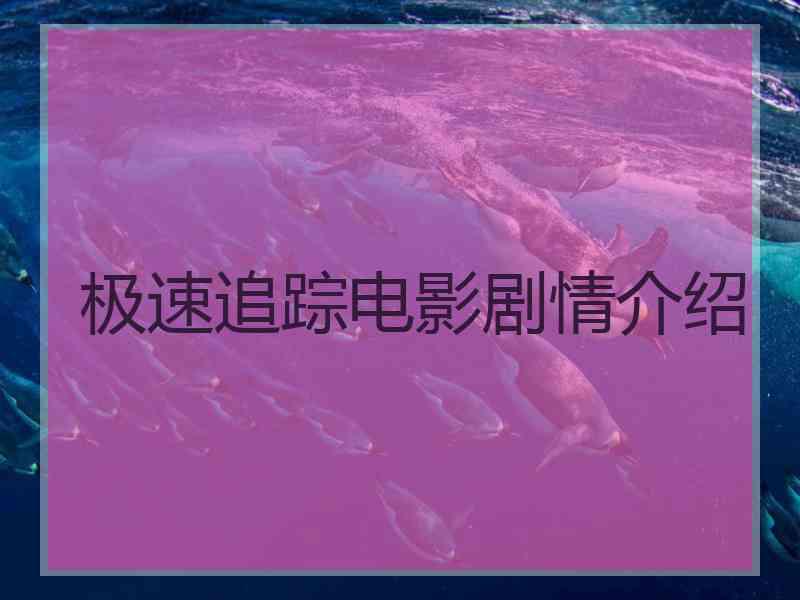 极速追踪电影剧情介绍