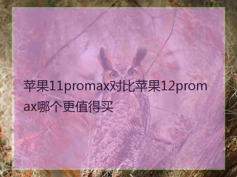 苹果11promax对比苹果12promax哪个更值得买