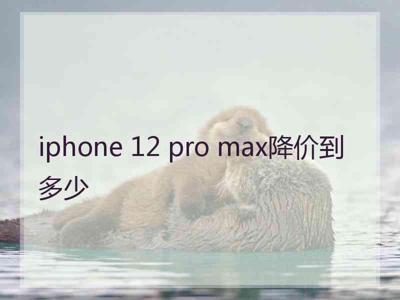 iphone 12 pro max降价到多少