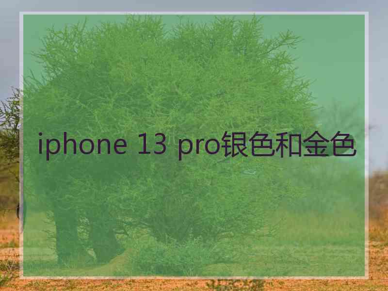 iphone 13 pro银色和金色