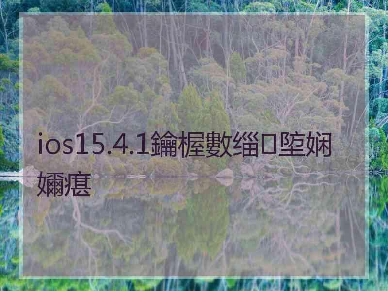 ios15.4.1鑰楃數缁埅娴嬭瘎