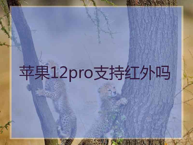 苹果12pro支持红外吗