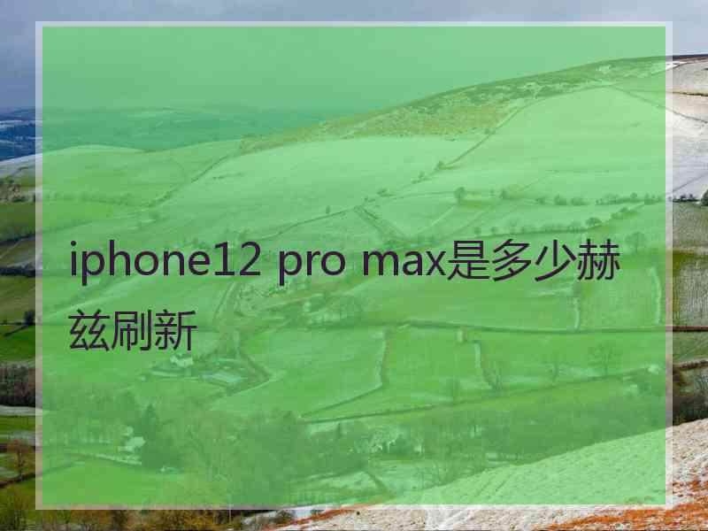 iphone12 pro max是多少赫兹刷新