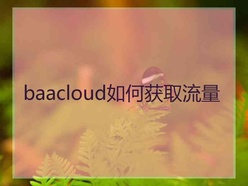 baacloud如何获取流量