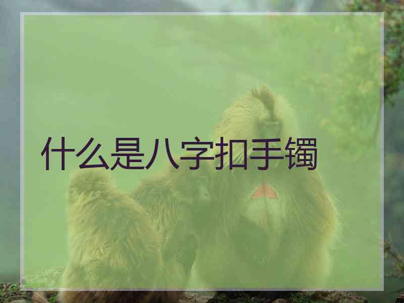 什么是八字扣手镯