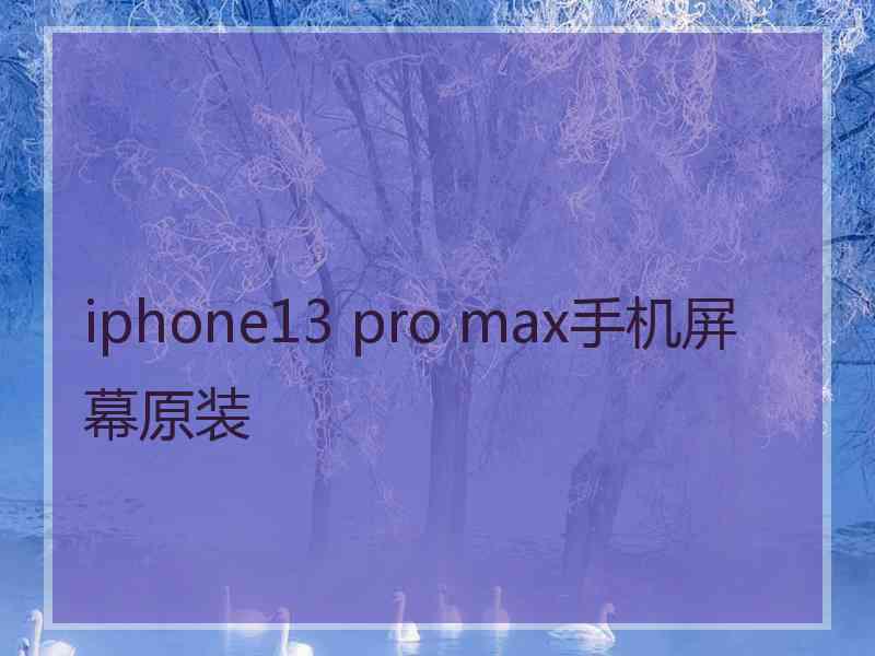 iphone13 pro max手机屏幕原装