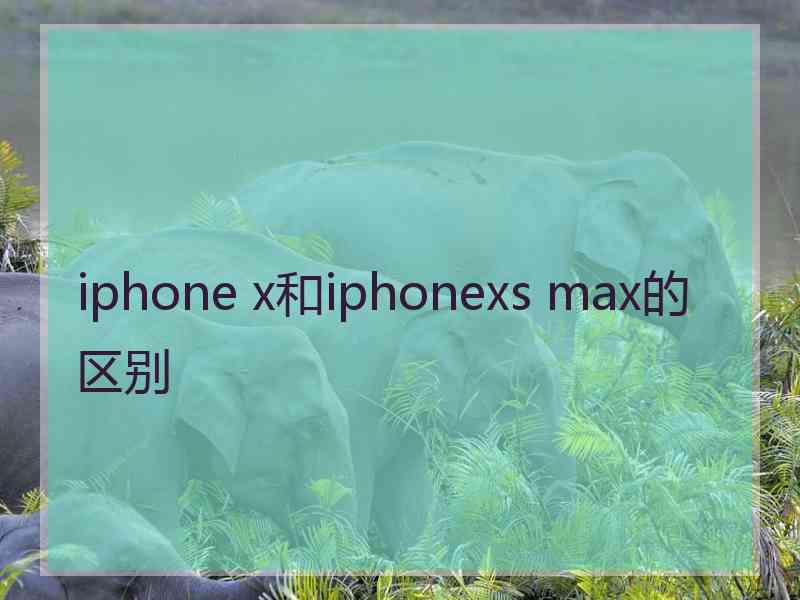 iphone x和iphonexs max的区别