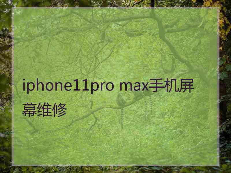 iphone11pro max手机屏幕维修