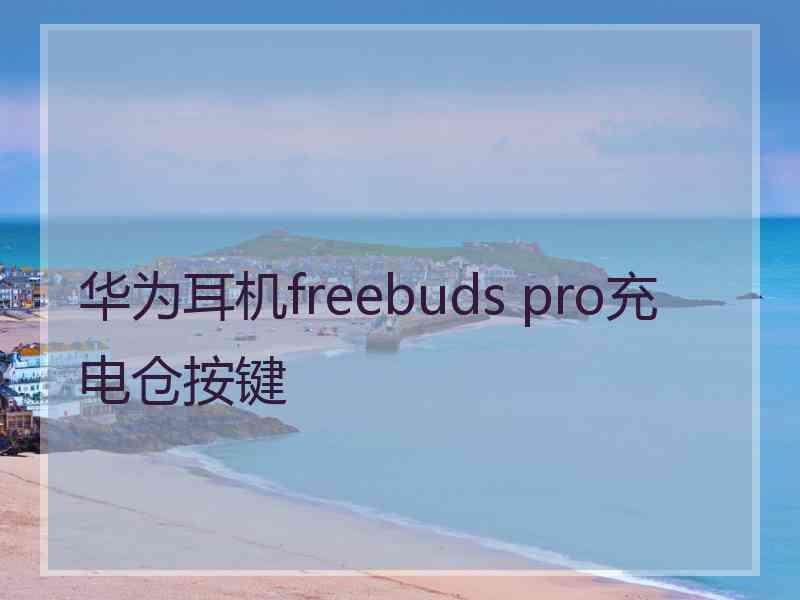 华为耳机freebuds pro充电仓按键