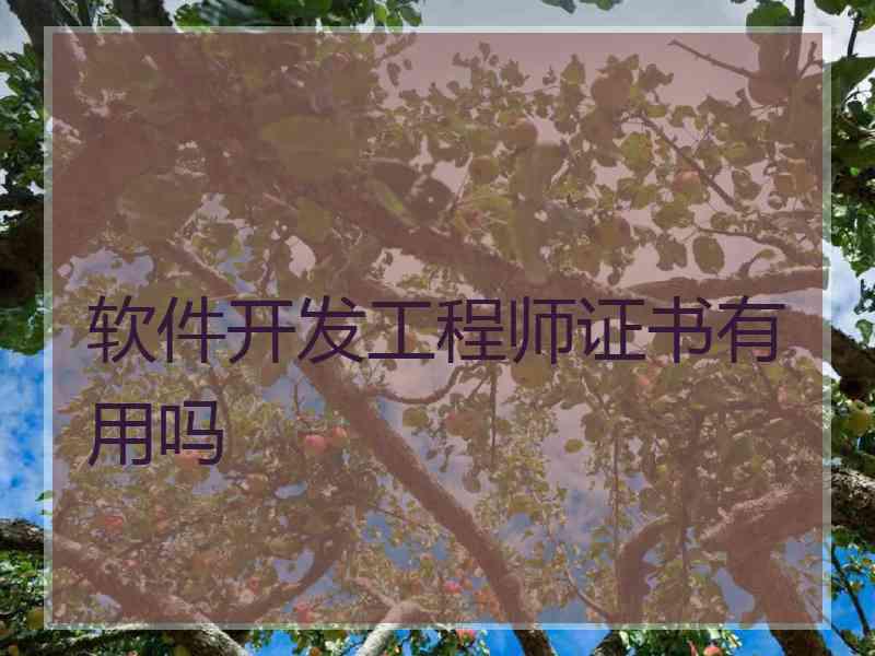 软件开发工程师证书有用吗