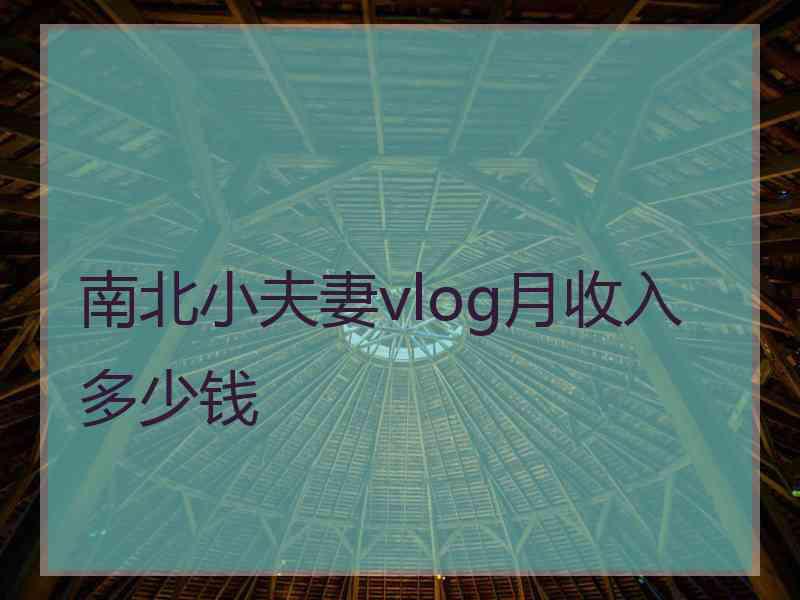 南北小夫妻vlog月收入多少钱