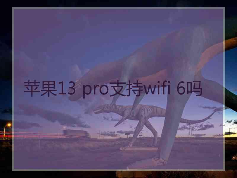 苹果13 pro支持wifi 6吗