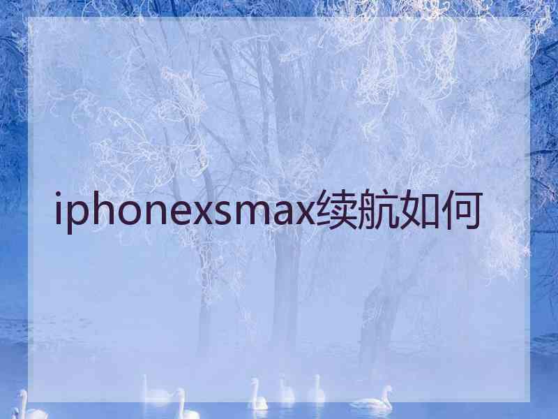 iphonexsmax续航如何