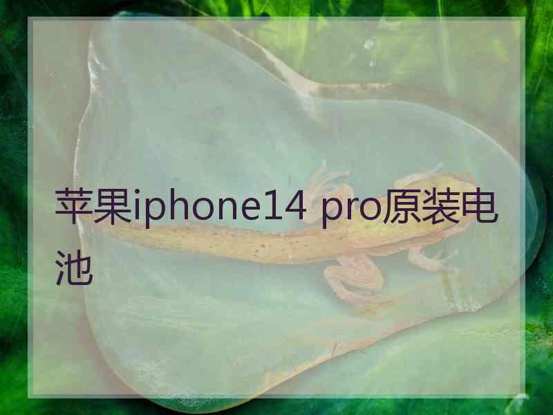 苹果iphone14 pro原装电池