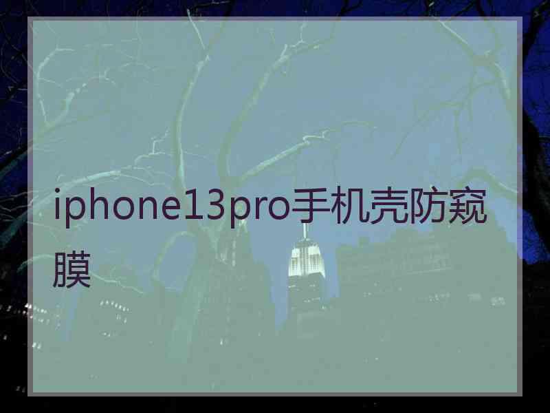 iphone13pro手机壳防窥膜