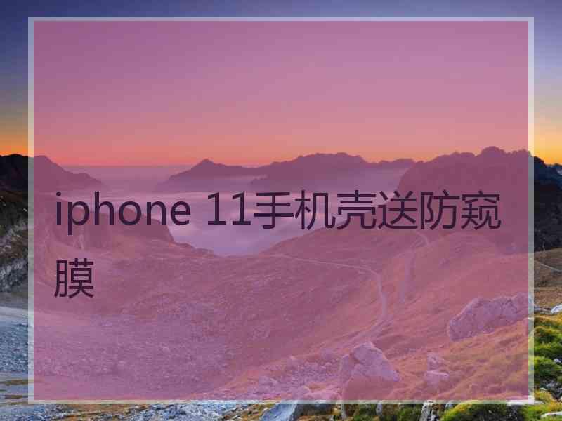 iphone 11手机壳送防窥膜