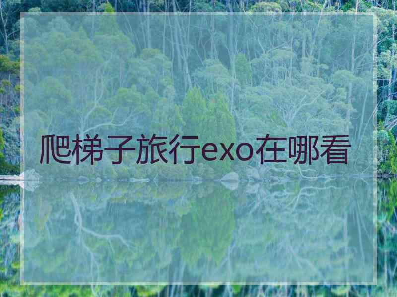 爬梯子旅行exo在哪看