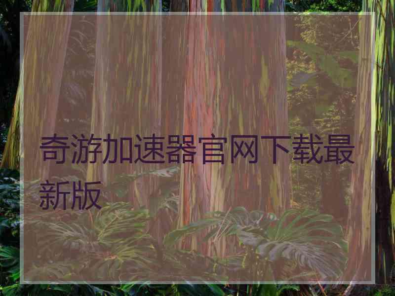 奇游加速器官网下载最新版