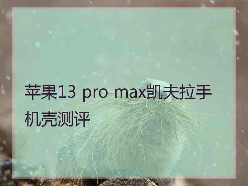 苹果13 pro max凯夫拉手机壳测评