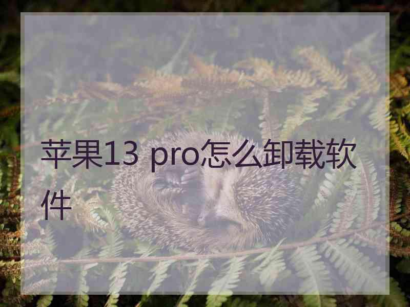 苹果13 pro怎么卸载软件