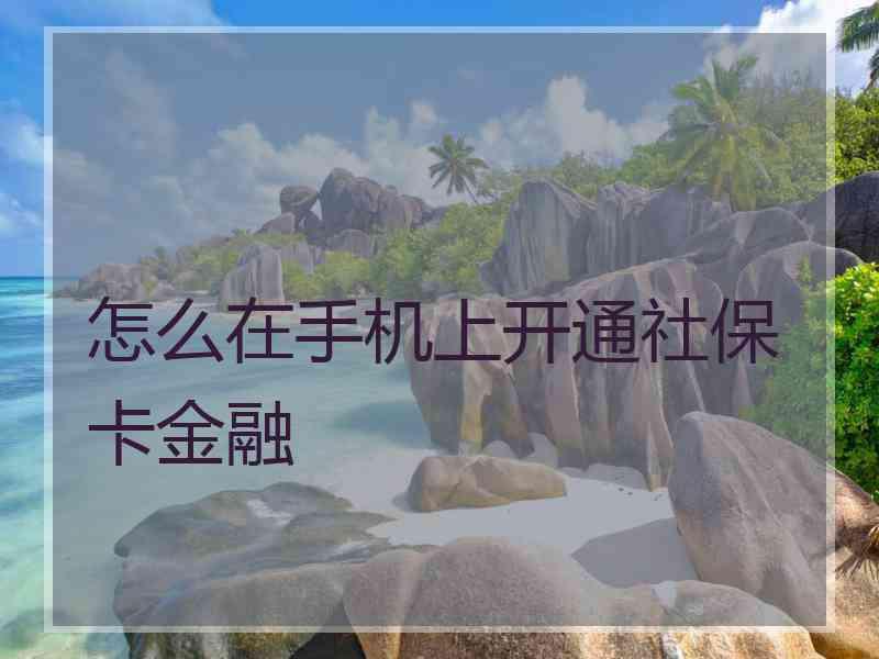 怎么在手机上开通社保卡金融