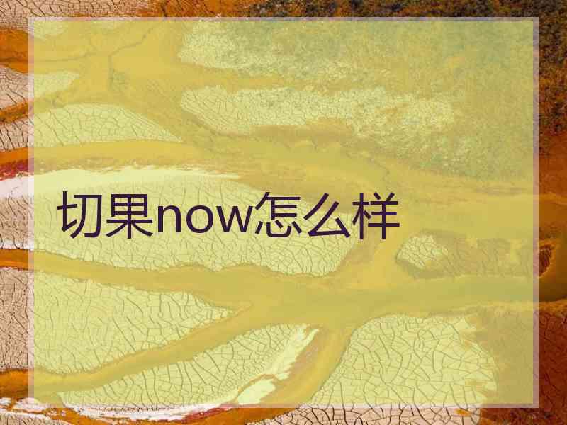 切果now怎么样