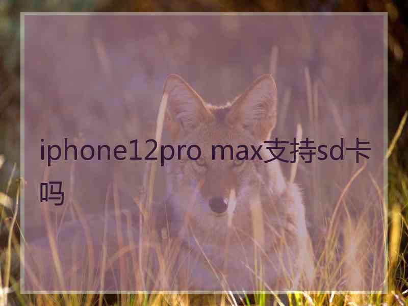 iphone12pro max支持sd卡吗