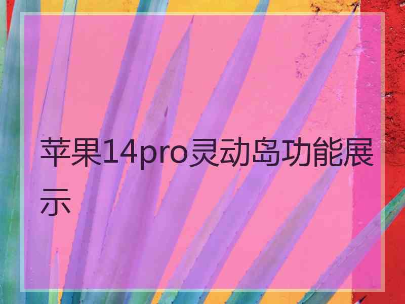 苹果14pro灵动岛功能展示