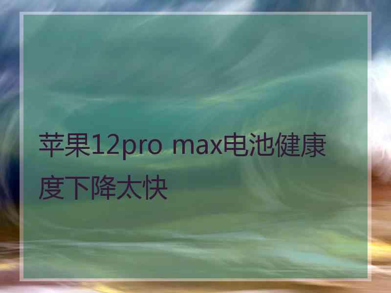 苹果12pro max电池健康度下降太快