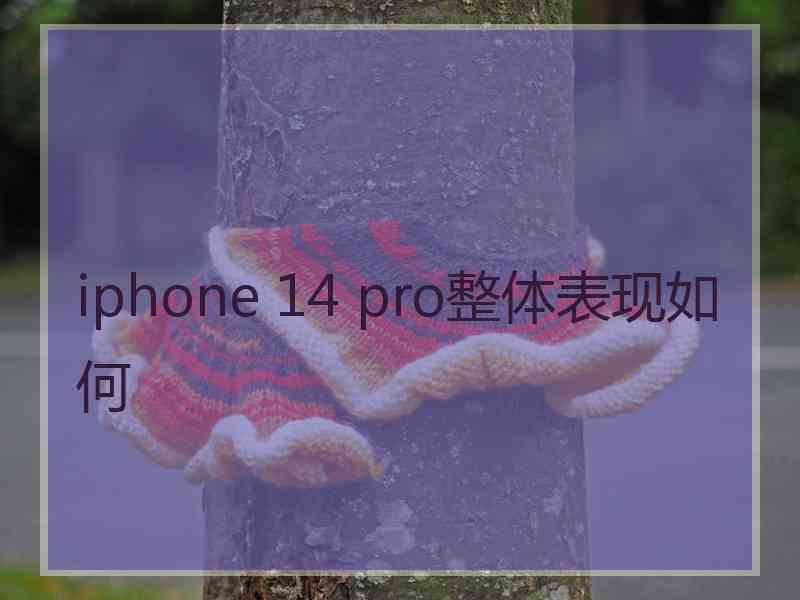 iphone 14 pro整体表现如何