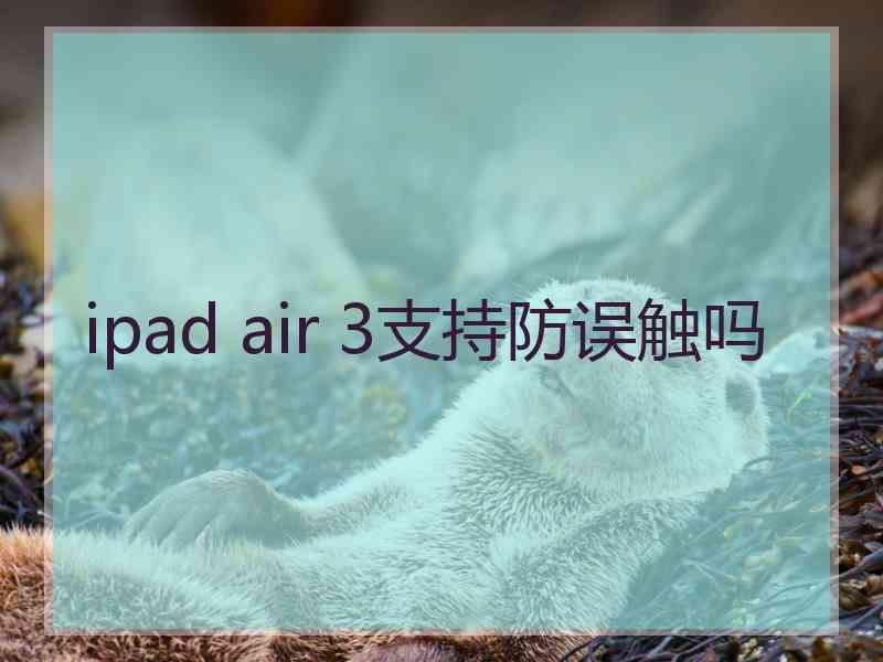 ipad air 3支持防误触吗