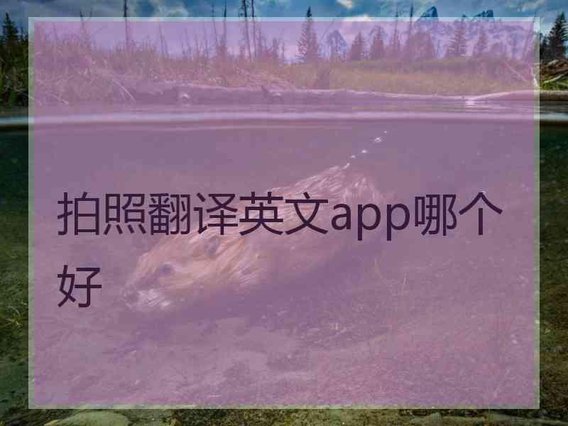 拍照翻译英文app哪个好