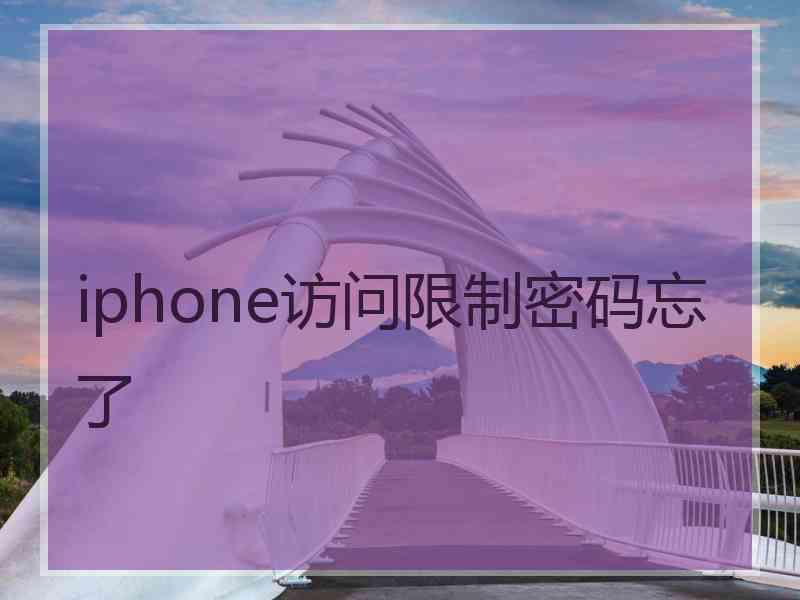 iphone访问限制密码忘了