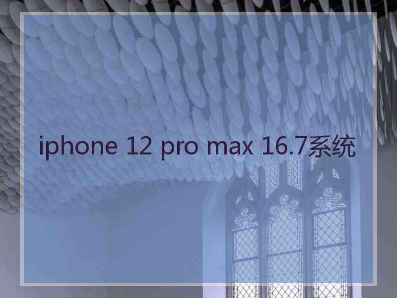 iphone 12 pro max 16.7系统