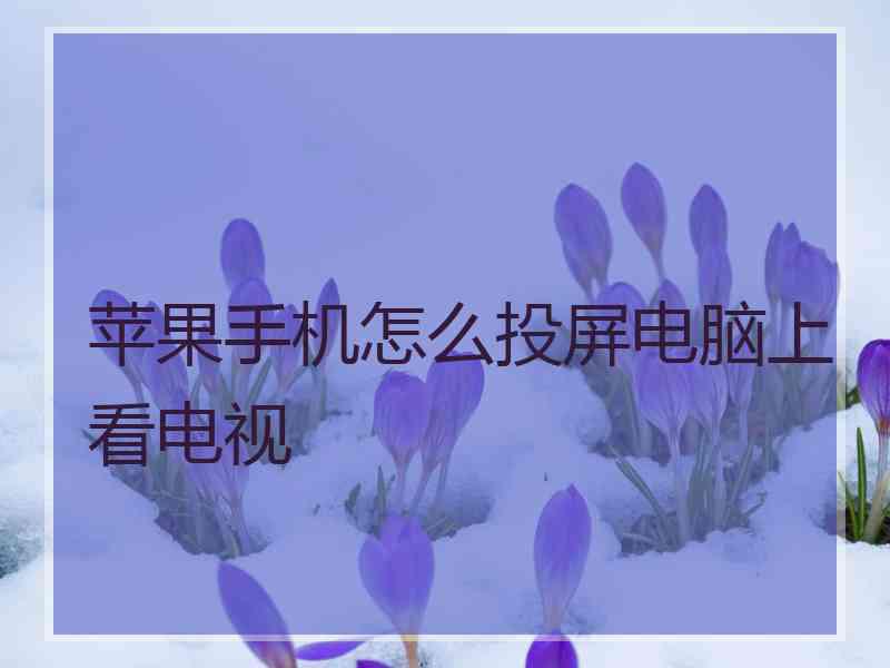 苹果手机怎么投屏电脑上看电视