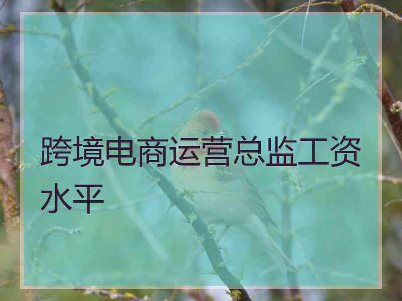 跨境电商运营总监工资水平