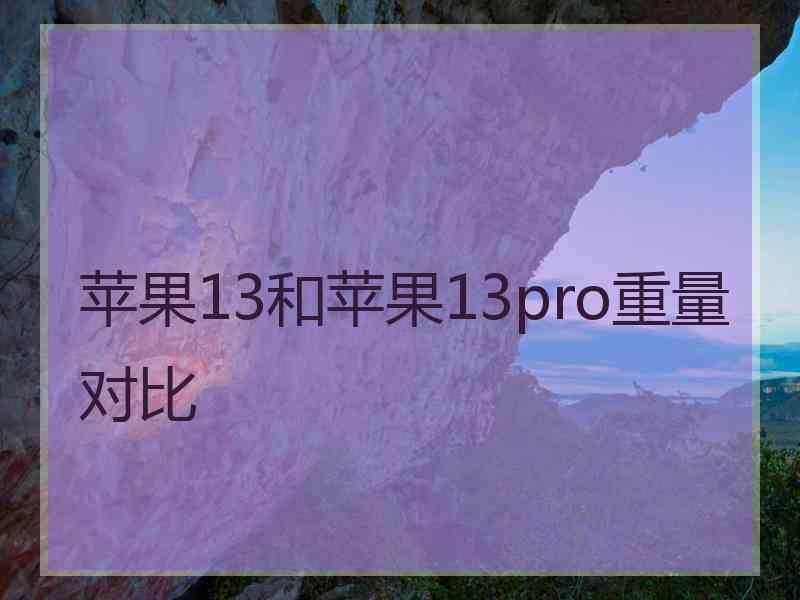 苹果13和苹果13pro重量对比