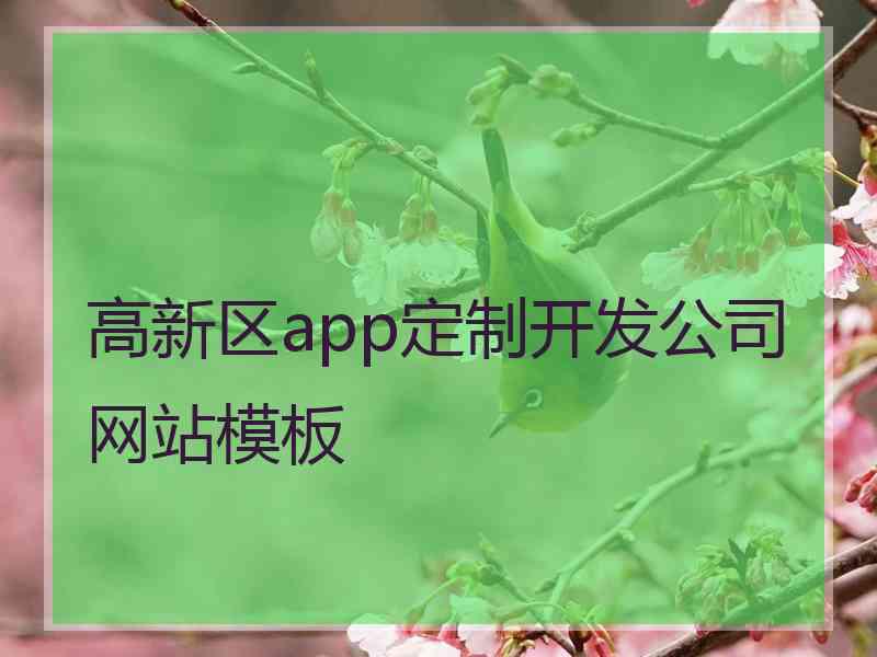 高新区app定制开发公司网站模板