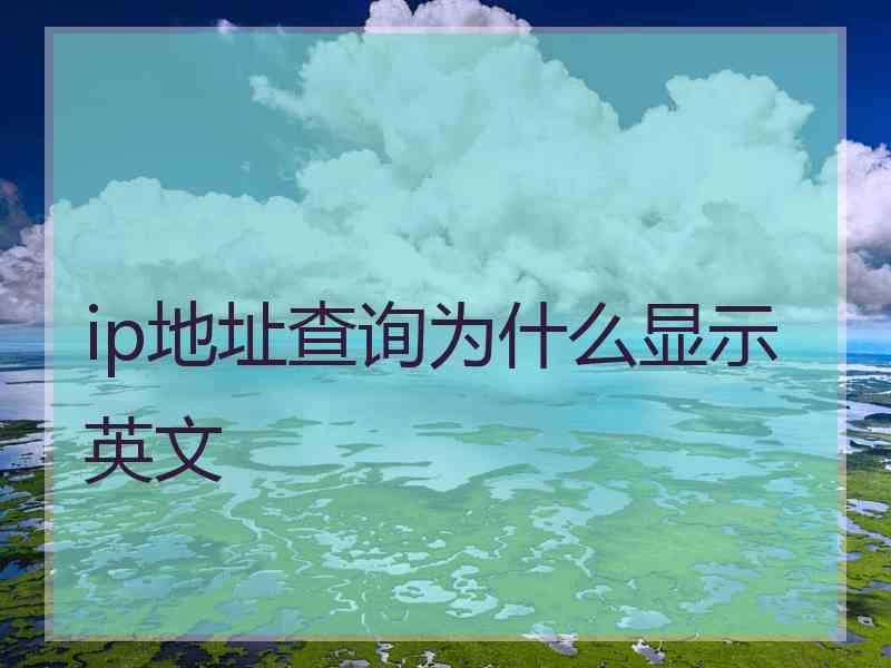 ip地址查询为什么显示英文