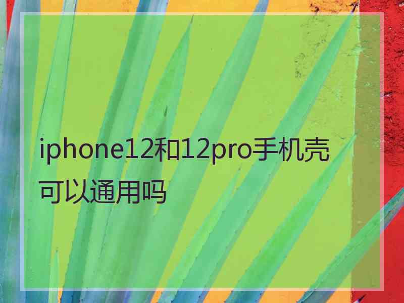 iphone12和12pro手机壳可以通用吗