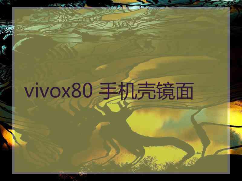 vivox80 手机壳镜面