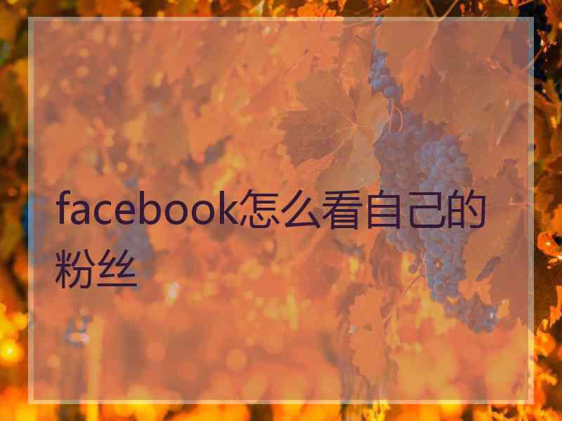 facebook怎么看自己的粉丝