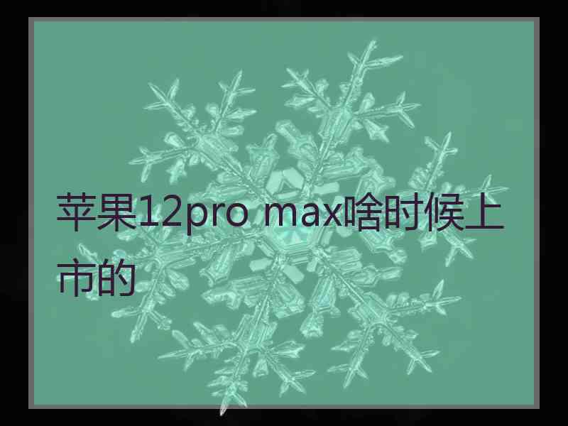 苹果12pro max啥时候上市的