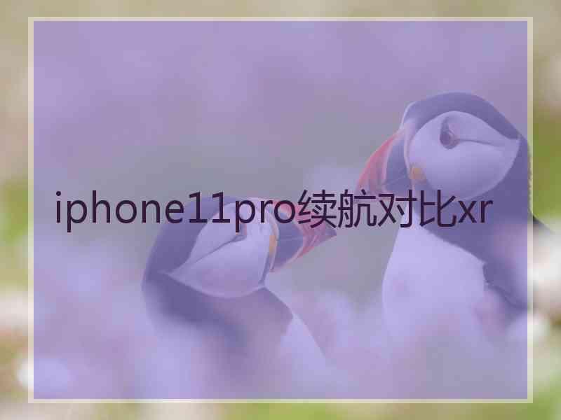 iphone11pro续航对比xr