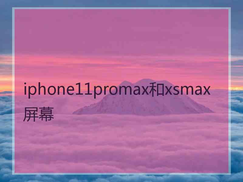 iphone11promax和xsmax屏幕