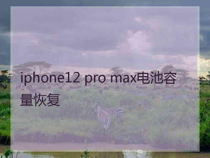 iphone12 pro max电池容量恢复